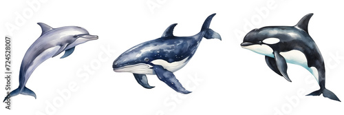 Set of Marine Mammal Illustrations - Whale, Dolphin, and Orca Isolated on Transparent Background