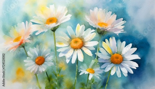 a collection of soft watercolor daisies flowers isolated on a background 