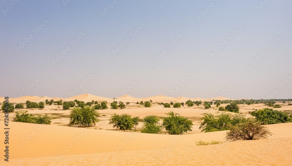 Thar Desert in Rajasthan, India