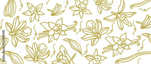 Isolated vector set of vanilla. Pattern. Vanilla sticks, vanilla flower and pods. Aroma, food. Hand drawn. Vector hand drawn illustration of orchid Flower and pods on isolated white background.