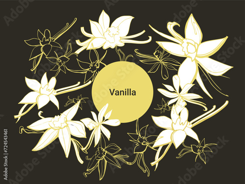 Isolated vector set of vanilla. Pattern. Vanilla sticks, vanilla flower and pods. Aroma, food. Hand drawn. Vector hand drawn illustration of orchid Flower and pods on isolated white background.