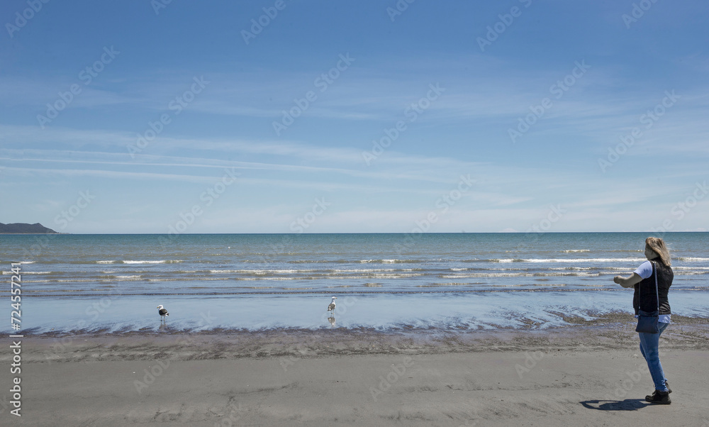 Woman photographing at the beach. New Zealand. Beach. Waimeha domain. Tutere Street, Waikanae New Zealand. Kaputi island in the back. Coast Woman photographing at the beach. New Zealand. Beach. Waimeha domain. Tutere Street, Waikanae New Zealand. Kaputi island in the back. Coast