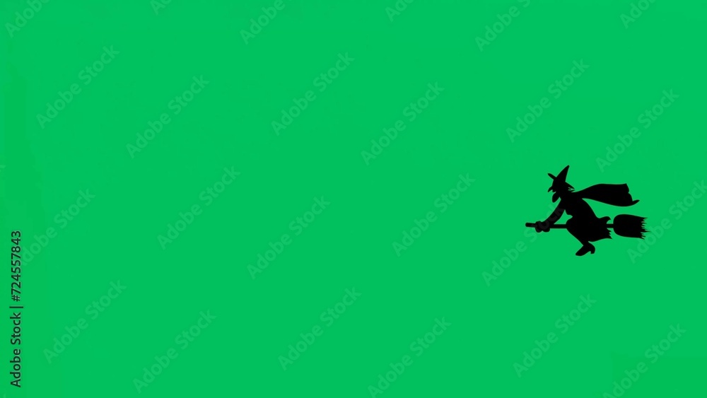 Happy Witch on a Broomstick| Green Screen | Chroma Key