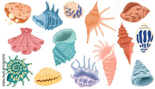 Set of seashells and starfishes. Pearl corral and snail shells. Sea life elements. Vector doodle cartoon set of marine life objects for your design. photo