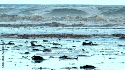 Discolored waves running toward beach and debris in shallows after coastal storm photo