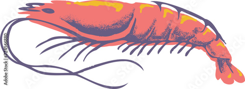 Shrimps Seafood Retro Illustration