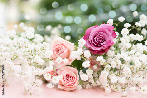 Purple-pink rose and pink roses and white gypsophilaon around place on pink plate and bokeh in background