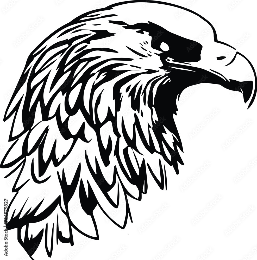American Eagle silhouette - Falcon face American Eagle silhouette - Falcon face
