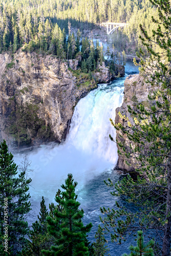 Lower Falls in Yellowstone Grand Canyon seen from Artist Point. Yellowstone National Park, Wyoming, USA