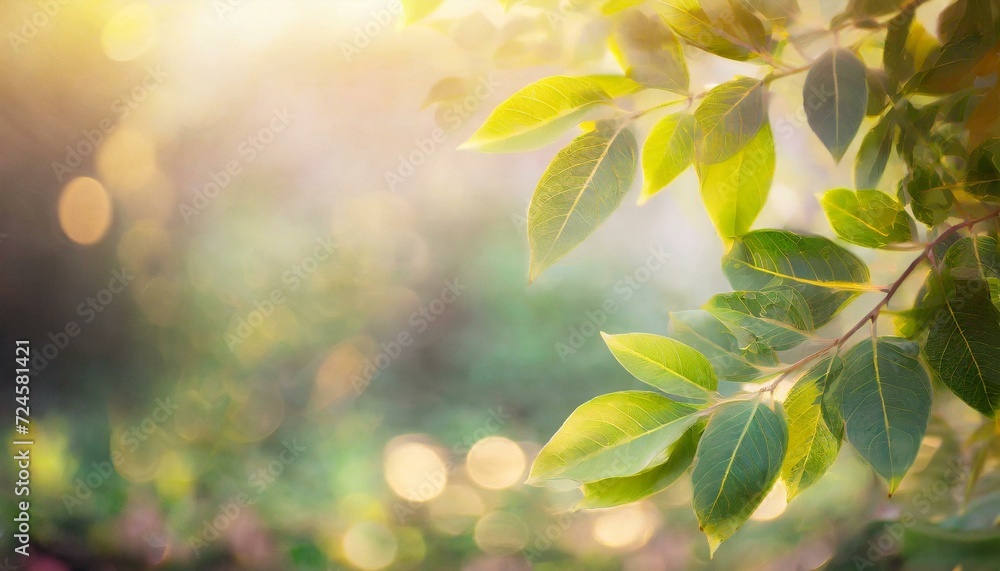 Fresh green leaves, Natural background. Fresh green leaves, Natural background.
