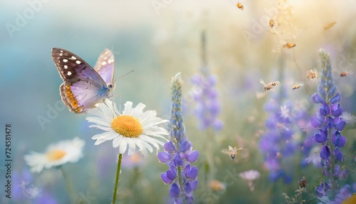 purple wild peas, and butterflies in the morning are close-up of the haze in nature. © ilolab
