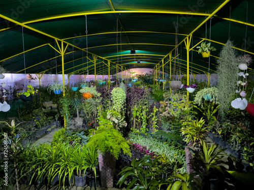 Panoramic 360 view of a plant nursery greenhouse in nighttime