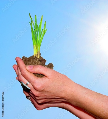 Hands Holding Plant 1