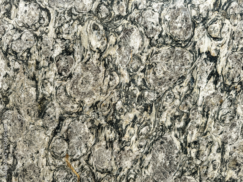 Granite slab with black pattern and vines Granite slab with black pattern and vines