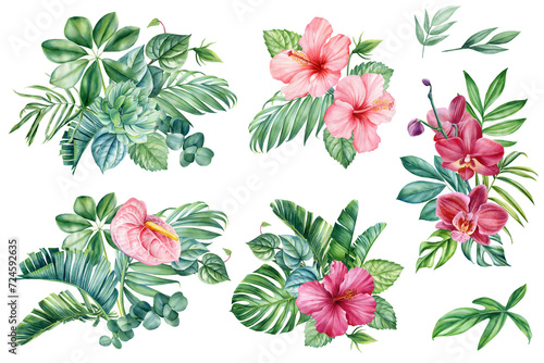 Tropical flowers and leaves. Realistic botanical illustration isolated background, watercolor Pink flower. jungle design