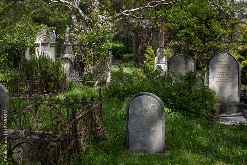 Bolton street cemetery. Tombstones. Graveyard. Wellington New Zealand. photo