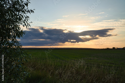 Sunset at the edge of a forest bordering a field in Sweden on the island of Oeland photo