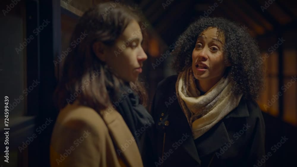 Young Woman Confronting Her Female Friend on Disagreement Quarreling Young Woman Confronting Her Female Friend on Disagreement Quarreling