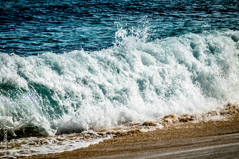 Fototapeta premium oahu island in hawaii northshore ocean scenes