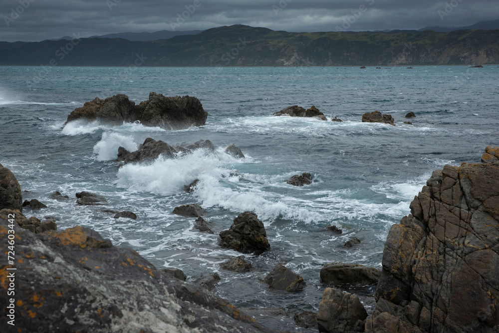 Rocky coast at Breaker Bay. Wellington New Zealand. Tasman Sea. 