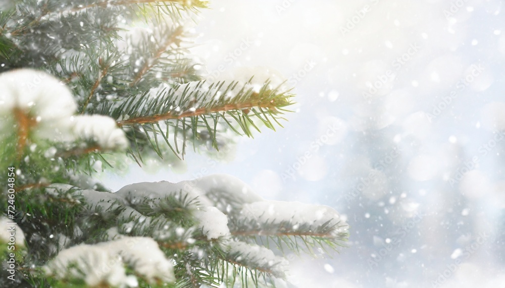 christmas and winter banner background concept christmas snowy fir tree branches close up