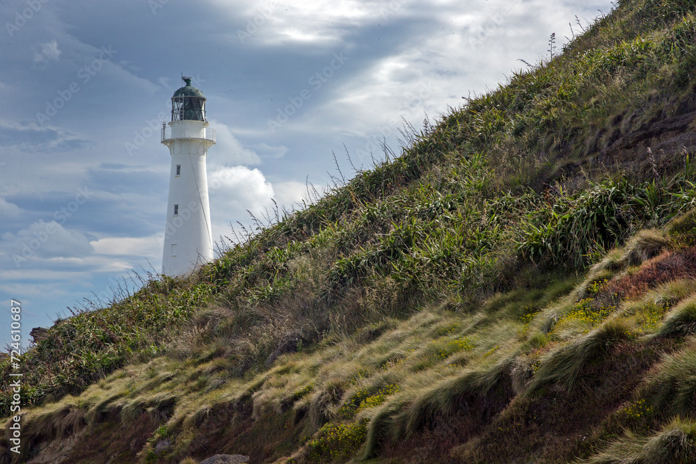 Lighthouse on rocks. Castle point coast New Zealand.
