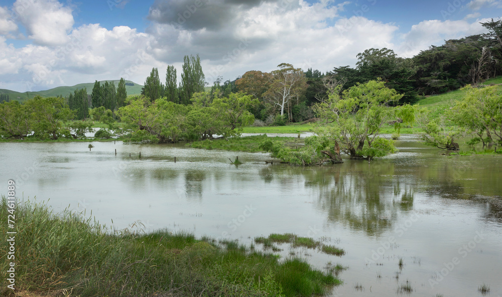 Near Waipukurau Hawke's Bay. New Zealand. Flooded meadows.