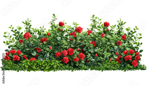 Cutout flowerbed. Plants and red flowers photo