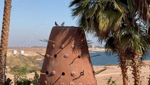 Doves sitting on a pigeon loft, Egypt	