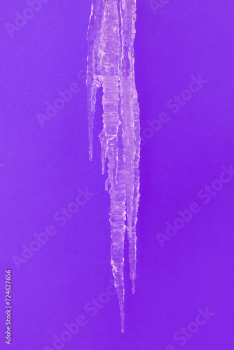 Fototapeta Naklejka Na Ścianę i Meble -  a large long icicle of ice on a violet background
