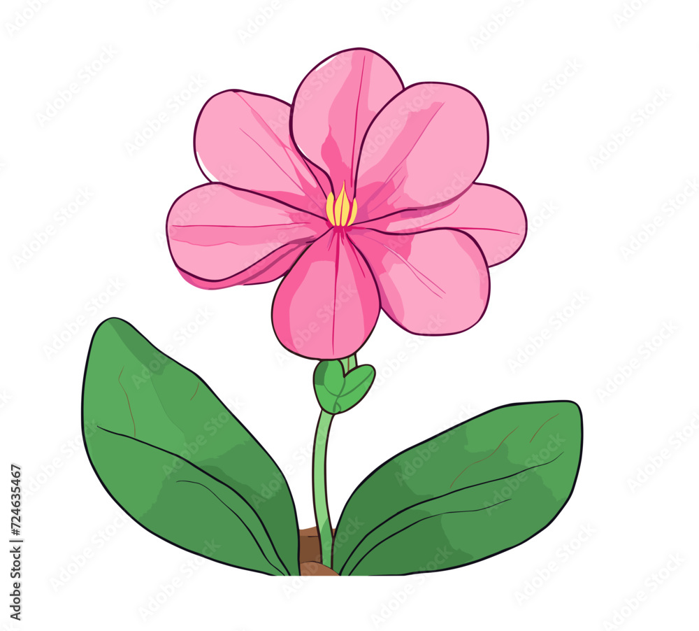 Fototapeta premium pink flower isolated on white background