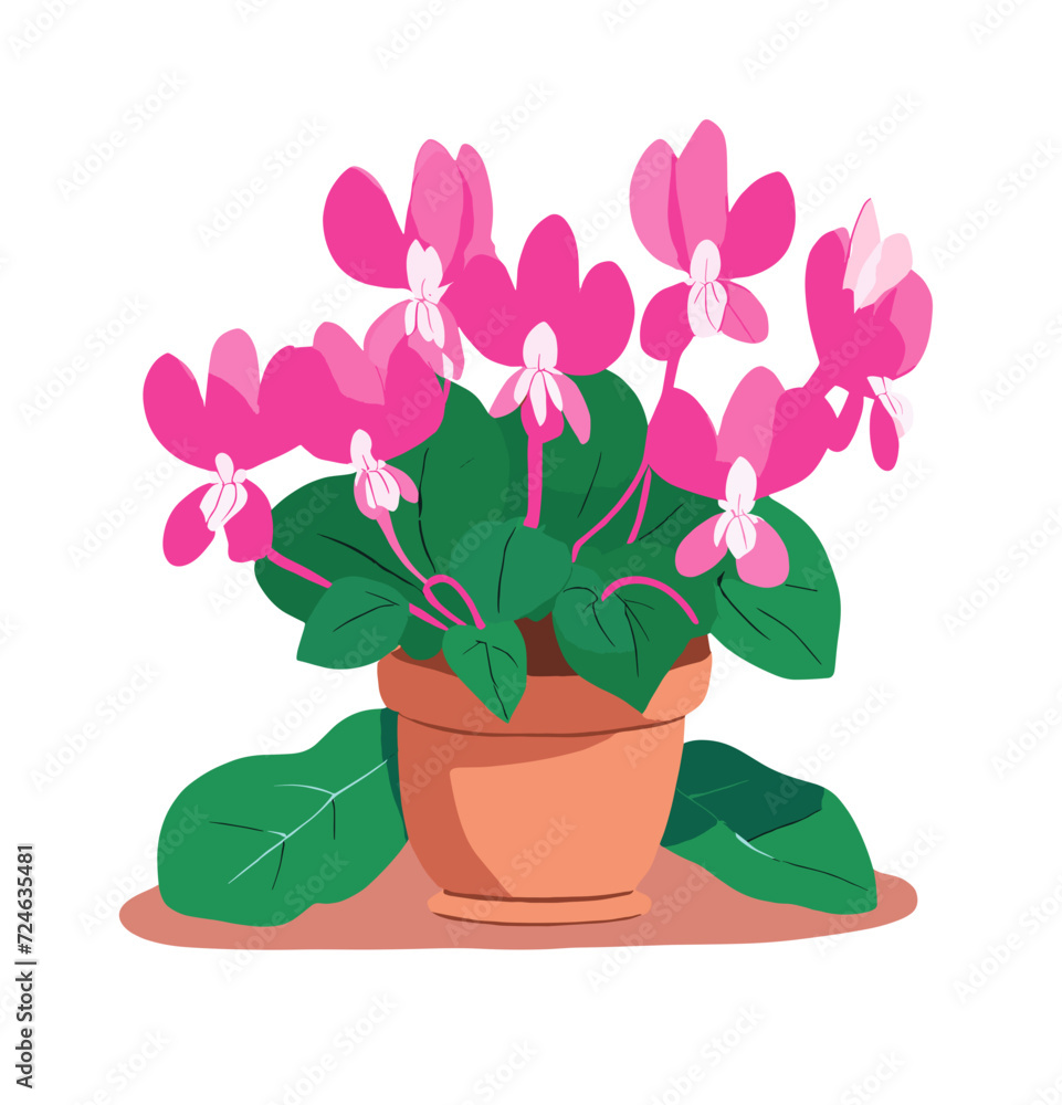 pink flower in pot