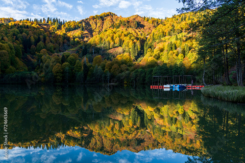 Reflection of boats and trees in the water