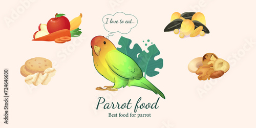 Flat illustration of a pet parrot, illustration with stroke and fill.  Illustration of different food for a parrot, vegetables and fruits, nuts, cereals and different seeds.