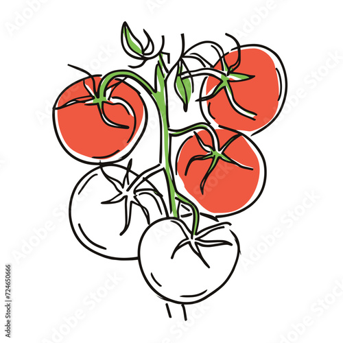 Simple line drawing illustration of a vine of tomatoes on a tree branch