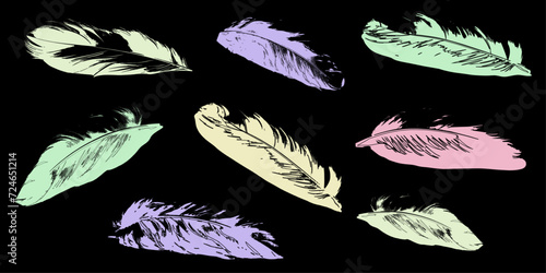 Silhouettes of multicolored feathers set