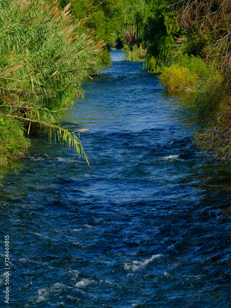 Obraz premium beautiful river in the forest