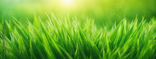 Fresh Spring Grass with Bokeh Background