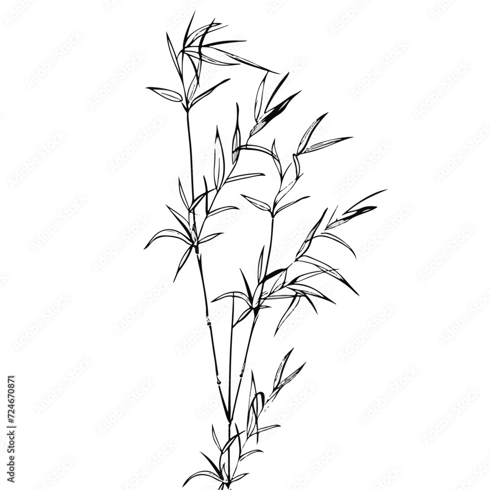 Obraz premium Illustration of bamboo leaves, japanese style, zen