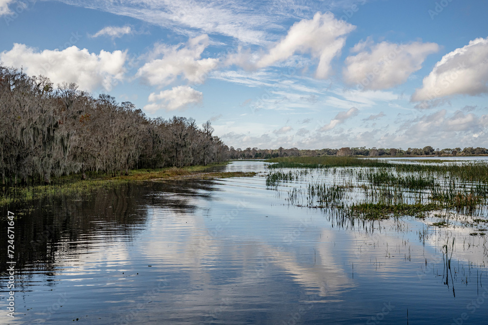 Fototapeta premium central florida