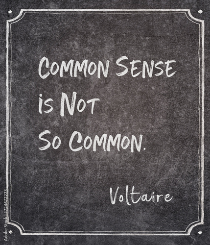 common sense Voltaire