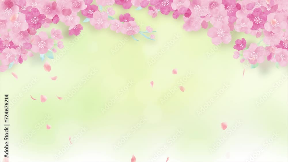 Watercolor cherry blossoms. Abstract green background.loop video.(088) Watercolor cherry blossoms. Abstract green background.loop video.(088)
