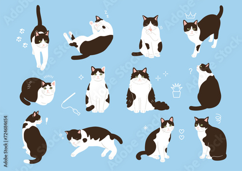 シンプルでかわいい白黒猫のイラストセット