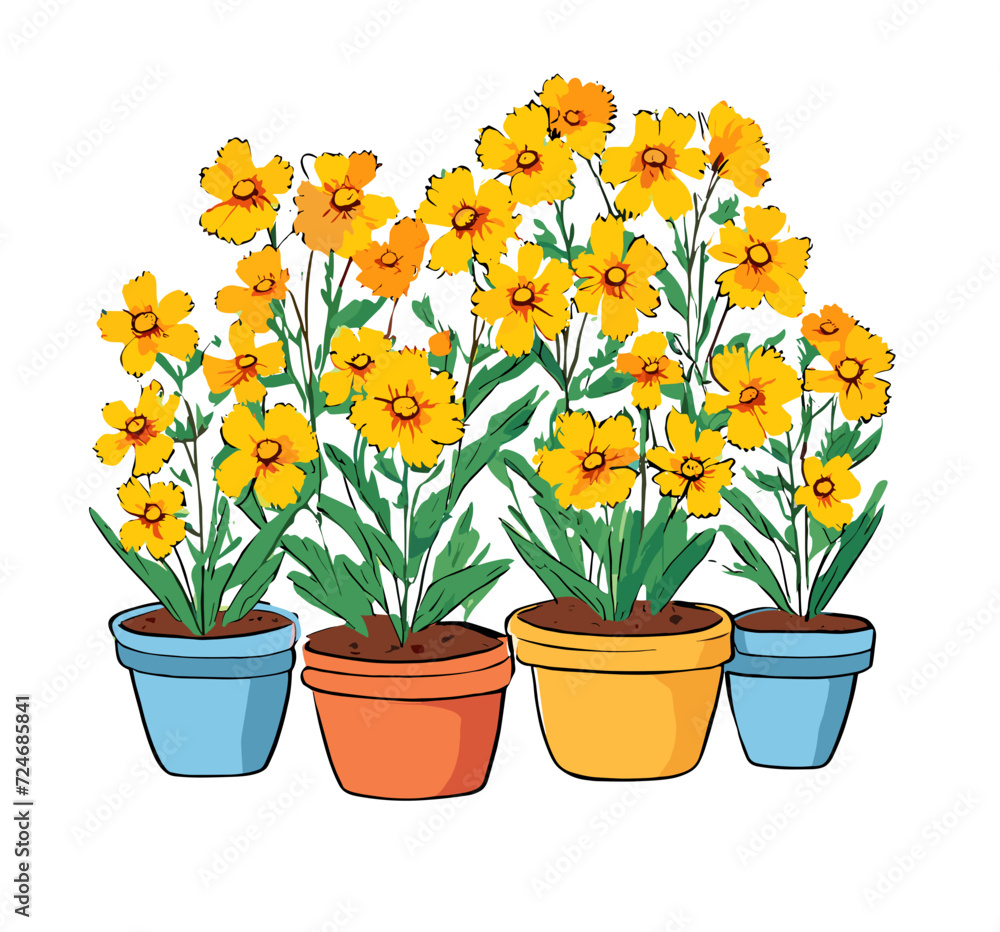 yellow flowers in pots yellow flowers in pots