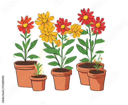 flowers in a pot