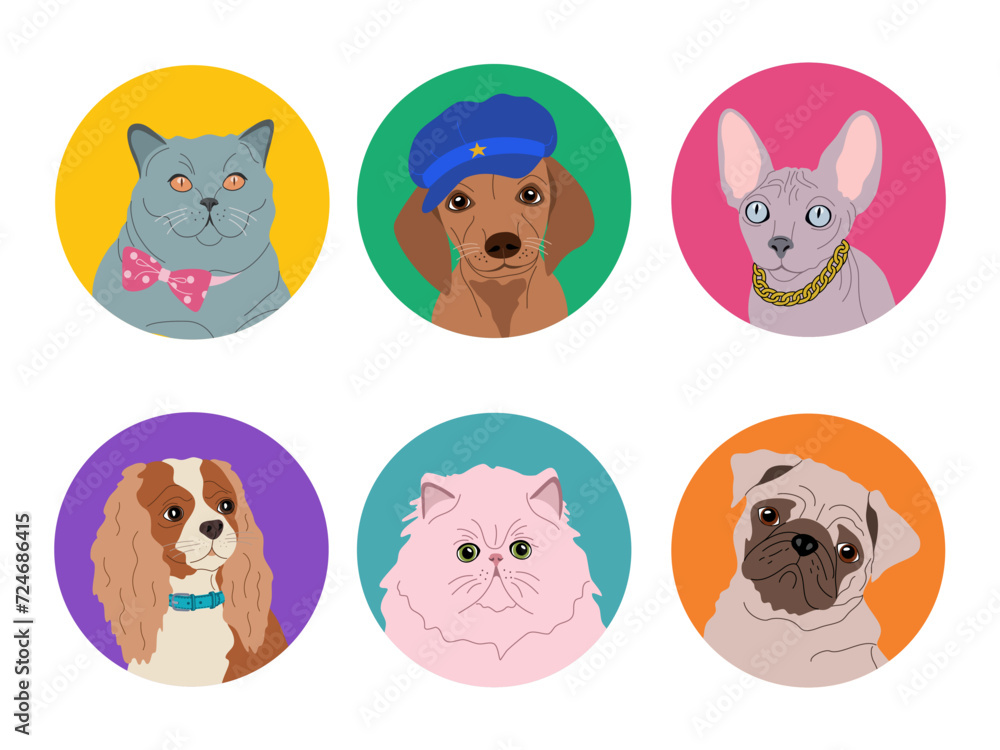 Set of various portraits cats and dogs. Cute pets face of different breeds. Hand drawn vector illustration isolated on white background, flat cartoon style.
