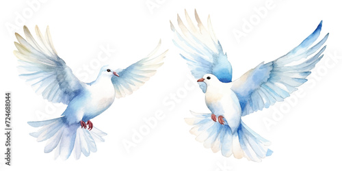 watercolor of dove bringing peace © Finkha