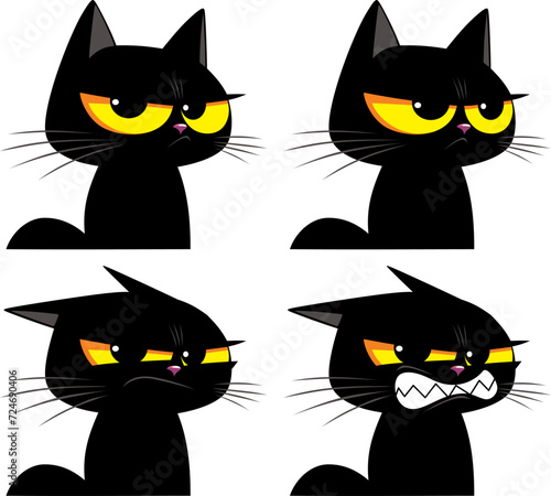 very dissatisfied black kitten with yellow eyes