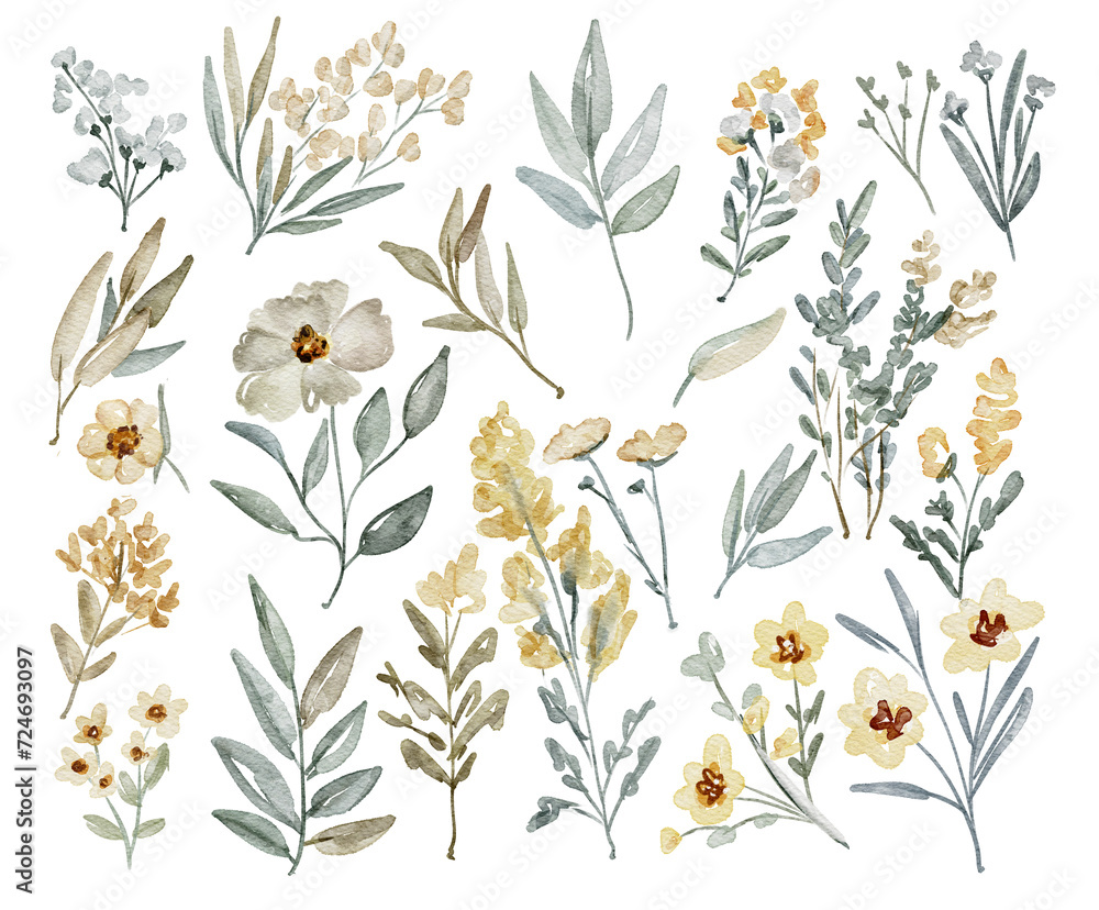 Big set of watercolor flowers and branches in pastel colors. Botanic illustration isolated on white background. Big set of watercolor flowers and branches in pastel colors. Botanic illustration isolated on white background.