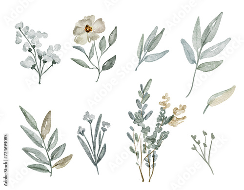 Big watercolor elements. Pastel leaves, branches illustration isolated on white background.